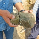 選擇表面上有些許青苔的「苔石」，作為溪流瀑布區(qū)的砌石。將天造之物與『大塊森鄰』的日常景色融合為一。