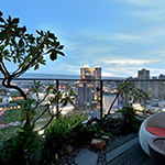 新業(yè)「觀峰」實品屋