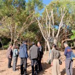 親自確認並檢查樹種的生長狀況，看葉片茂盛程度與樹形，彷彿能預見社區(qū)未來的質(zhì)感一景。
