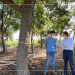 新業(yè)建設 簡福榮 總經理(右一) 與景觀設計團隊逐步討論，樹種與樹高，為建築尋找契合的對象。