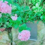 枕在石上的手札本，藏在詩(shī)中的少女情懷正等著誰(shuí)翻閱？