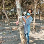 選定每棵樹(shù)木後，新業(yè)團(tuán)隊(duì)會(huì)以紅色緞帶繫上樹(shù)幹紀(jì)錄，宛如為櫸木與『築之細(xì)道』之間密不可分的「紅線」。