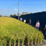 有用心栽培的樹種，新業(yè)便踏著腳步前往尋蹤，期望樹木與建築能自然地融合，
模糊與天地大美的界線。