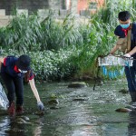 河中的前三名殺手──菸蒂、破碎塑膠袋、瓶蓋吸管，易被小魚小蝦或青蛙誤食。