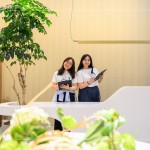 與新業(yè)家族們在午后時刻團聚，一同度過『良辰吉食』的優(yōu)格饗宴。