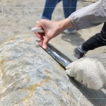 以鋁箔膠帶為記，牽起與新業(yè)的緣分，等待時機，即將坐落臺中『大塊森濤』社區(qū)，延續(xù)自然與人文的美好記憶。