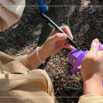 在綁樹帶寫上樹種及編號，每一顆樹都有了印記，都是經由新業(yè)職人團隊的專業(yè)見解，及審慎評估後決定出的結果。我們相信：「不只是我們選樹，樹也在選擇一個值得託付終身的對象」。