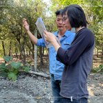 林宜鋒建築師(右一) 與景觀設計團隊從不同方向繞樹觀察評估，擇樹考量的方方面面，任何角度都要達到美的平衡。