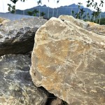 今年盛夏之際，新業(yè)團隊前往南投國姓鄉(xiāng)，為2025年即將落成的『大塊森濤』，挑選庭園造景的原石。