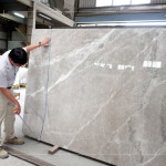 石材表面帶有自然的紋理與色澤，彷彿大地沉積歲月的筆觸，內(nèi)斂卻蘊(yùn)含力量，新業(yè)職人以獨(dú)到眼光揀選，成為空間裡最具靈魂的表達(dá)。