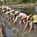 大熱天不忘抬頭對著攝影師say Cheese！