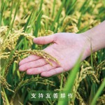 逾11載的『新業(yè)一畝田』－看見(jiàn)霧峰小農(nóng)對(duì)於自然農(nóng)法無(wú)農(nóng)藥、無(wú)化肥的堅(jiān)持，守護(hù)這份對(duì)土地的溫柔心意，堅(jiān)持契作認(rèn)養(yǎng)，已成為我們的自然，不虧待這樣的純粹及美好，固定贈(zèng)予所有新業(yè)的住戶，讓善的念想在這片大地一直傳遞下去。