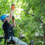 注視著樹頂?shù)墓庥?，設(shè)定小小的目標，努力在有限的時間內(nèi)達到樹冠層。