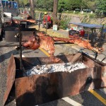離終點2K處，竟然看到一整隻的烤乳豬！陣陣撲鼻的肉香真讓人垂涎！