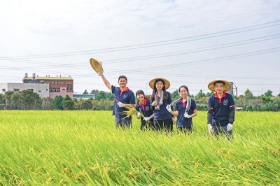 新業(yè)一畝田｜走過11年，心像一畝田