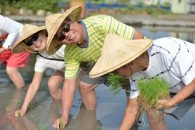 新業(yè)，一畝田插秧體驗(yàn)日